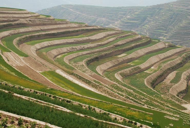 20151117091651-33983794460073112.jpg 20151117091651-33983794460073112.jpg