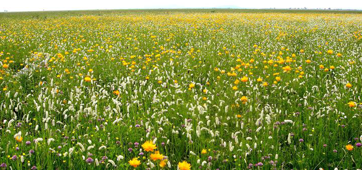 微信圖片_20210527162859.png 微信圖片_20210527162859.png