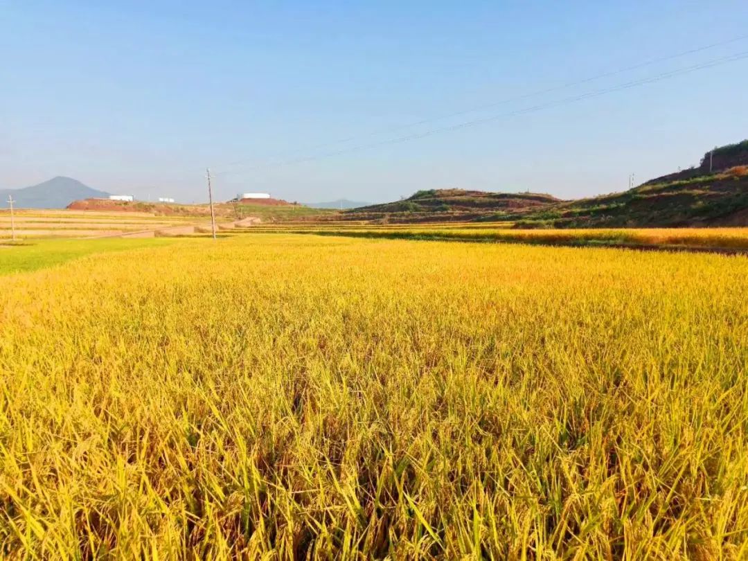 微信圖片_20210715173842.jpg 微信圖片_20210715173842.jpg