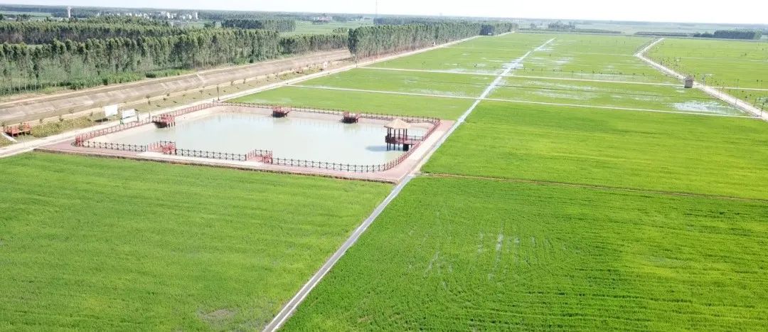 微信圖片_20210715173854.jpg 微信圖片_20210715173854.jpg