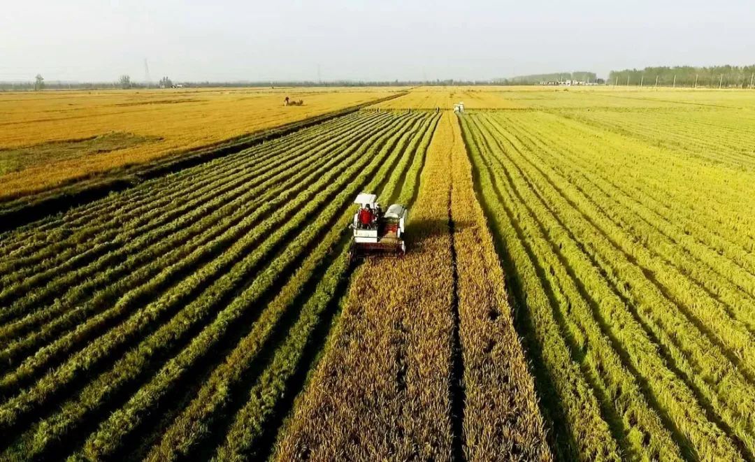 src=http___5b0988e595225.cdn.sohucs.com_images_20190716_520c2bb28a384a5b9be78648482bd579.jpeg&refer=http___5b0988e595225.cdn.sohucs.jpg src=http___5b0988e595225.cdn.sohucs.com_images_20190716_520c2bb28a384a5b9be78648482bd579.jpeg&refer=http___5b0988e595225.cdn.sohucs.jpg