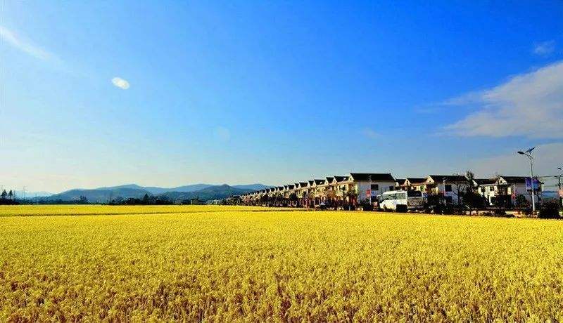 src=http___inews.gtimg.com_newsapp_bt_0_10108199152_1000.jpg&refer=http___inews.gtimg (1).jpg src=http___inews.gtimg.com_newsapp_bt_0_10108199152_1000.jpg&refer=http___inews.gtimg (1).jpg